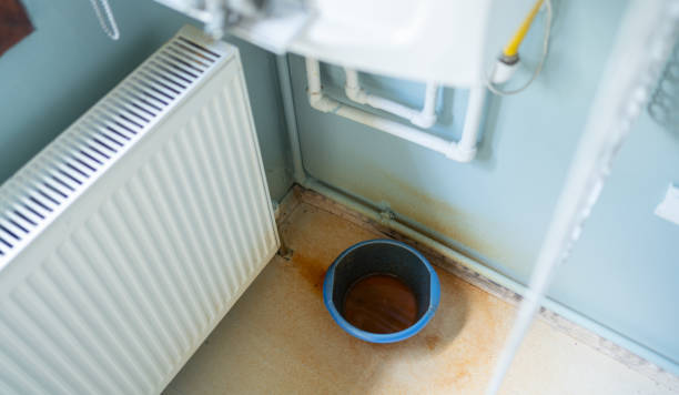 Best Sewage cleanup and water damage restoration  in Whiskey Creek, FL